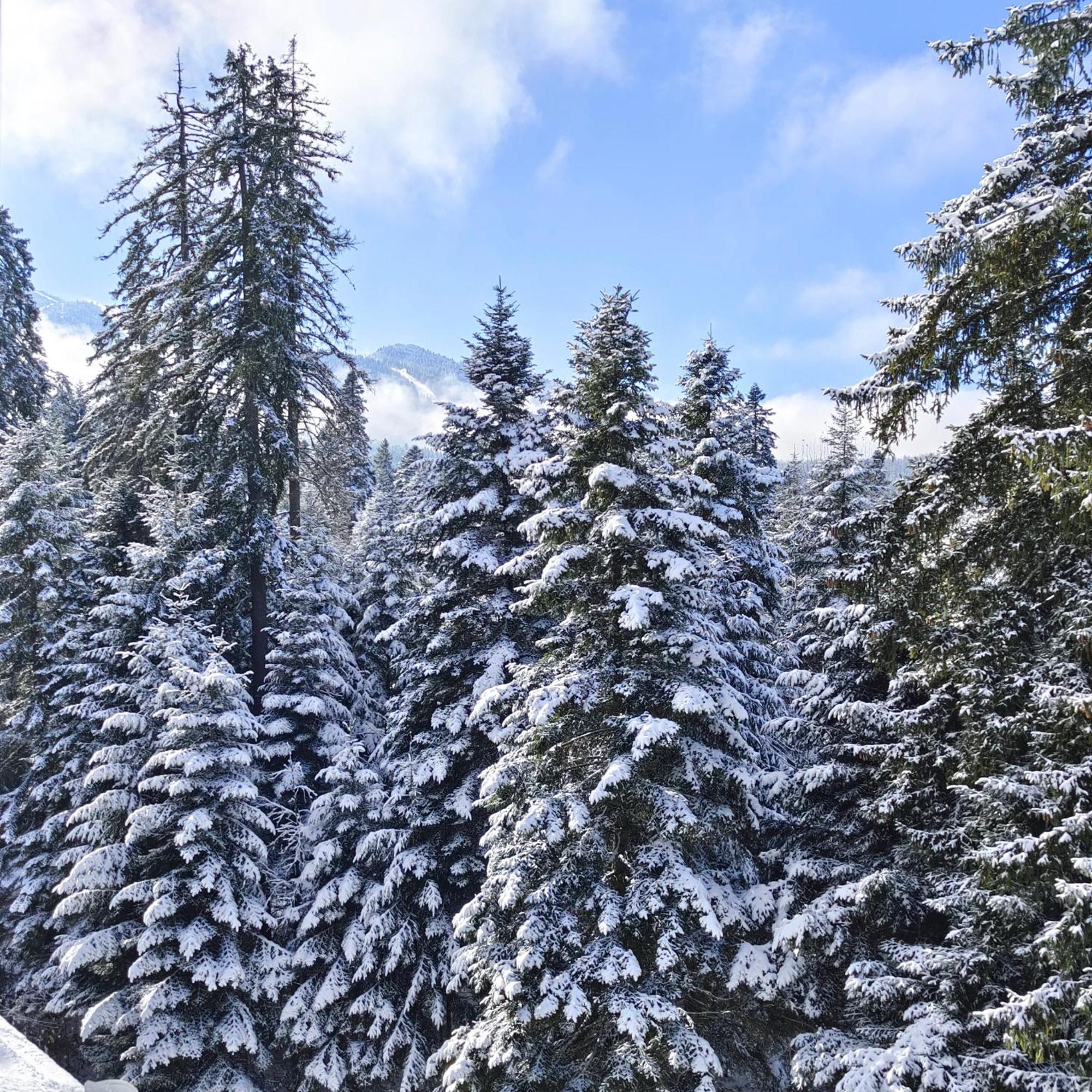 Borovets Dream Studio エクステリア 写真